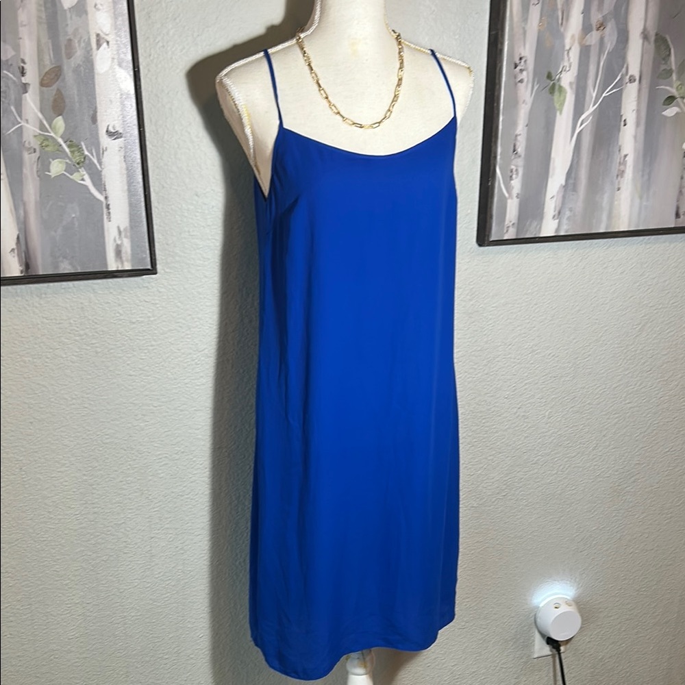 J. Crew Blue Midi Dress